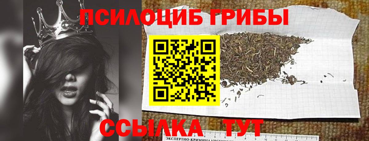 Галлюциногенные грибы Magic Shrooms  Вход с VPN  Долгопрудный 